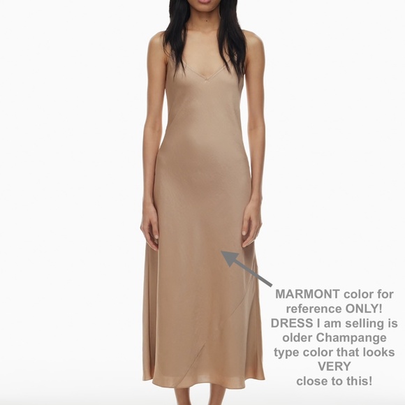 Wilfred Only Slip Dress ARITZIA Champange Blush Beige M Medium - Picture 1 of 3